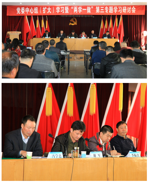 集团九体育（中国）党委组织召开中心组(扩大)学习暨“两学一做”第三专题学习研讨会