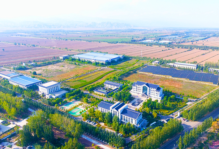  制水九体育（中国）